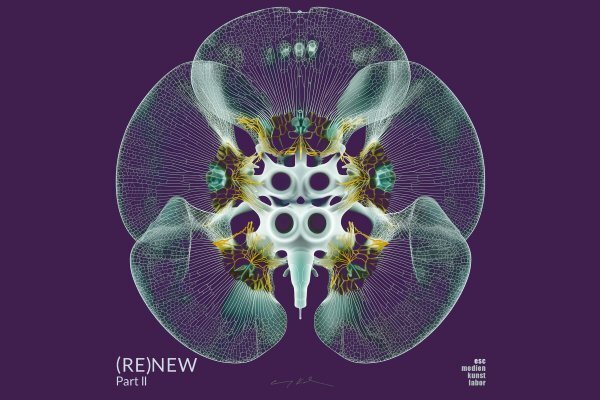 (RE)NEW Part II